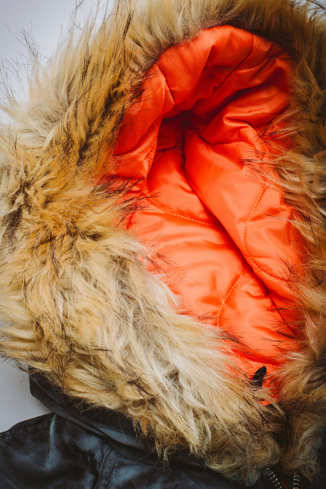 Savie Hooded Bomber Jacket