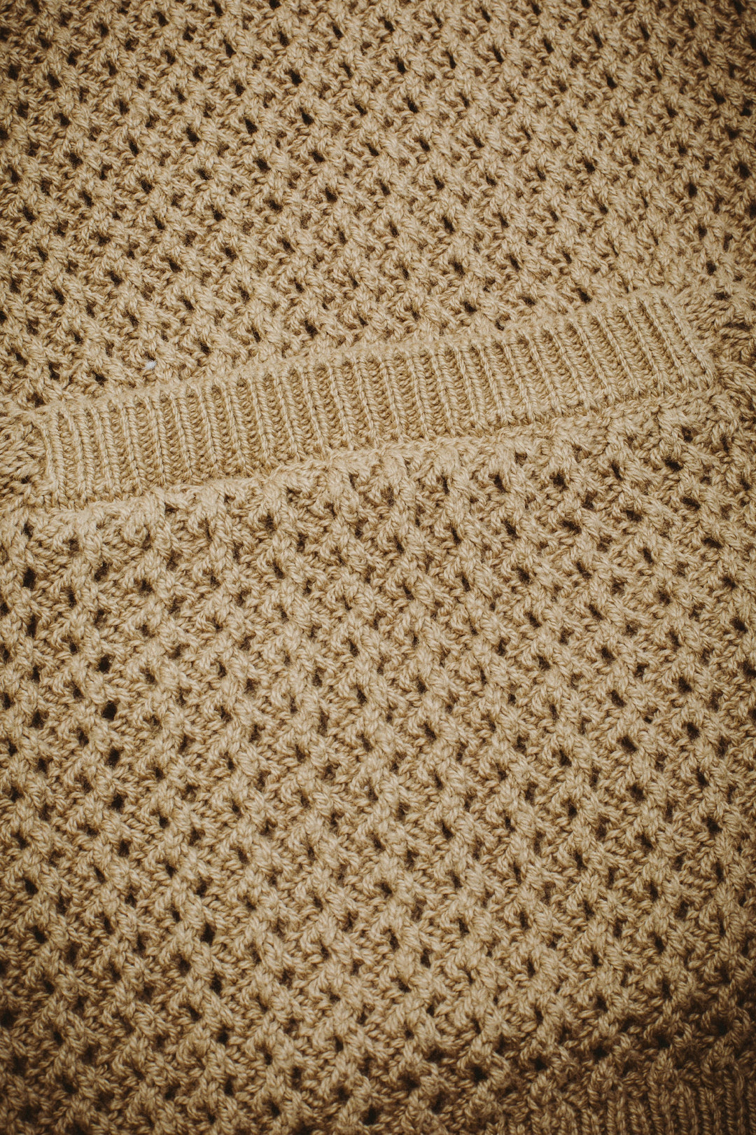 Encyclopedia Button up Sweater