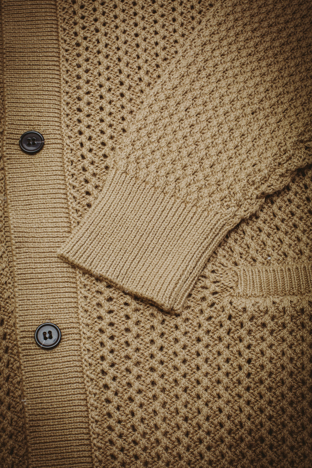 Encyclopedia Button up Sweater