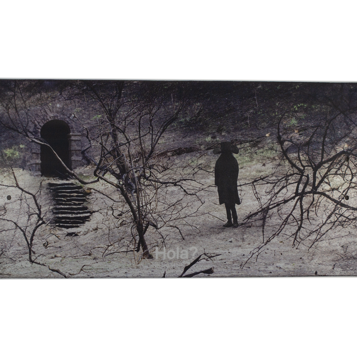 Diego Todd No one is Looking