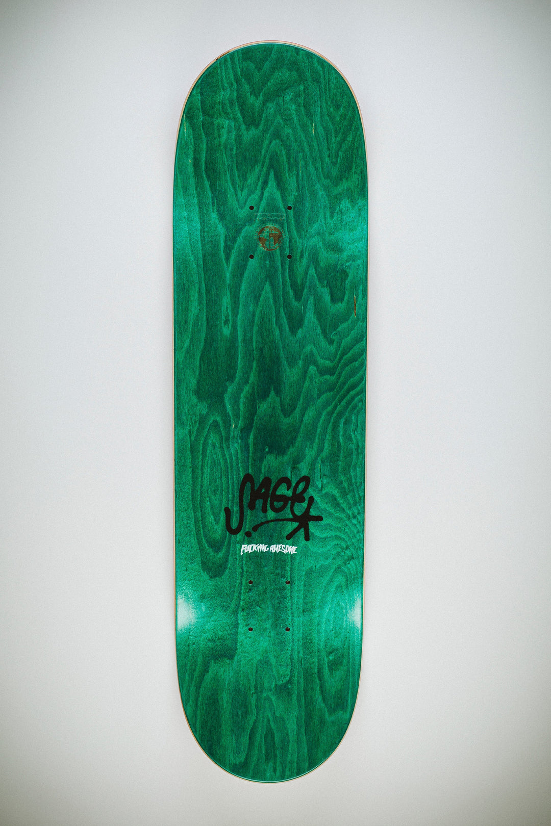 Sage Elsesser Class Photo Painted By Sickid