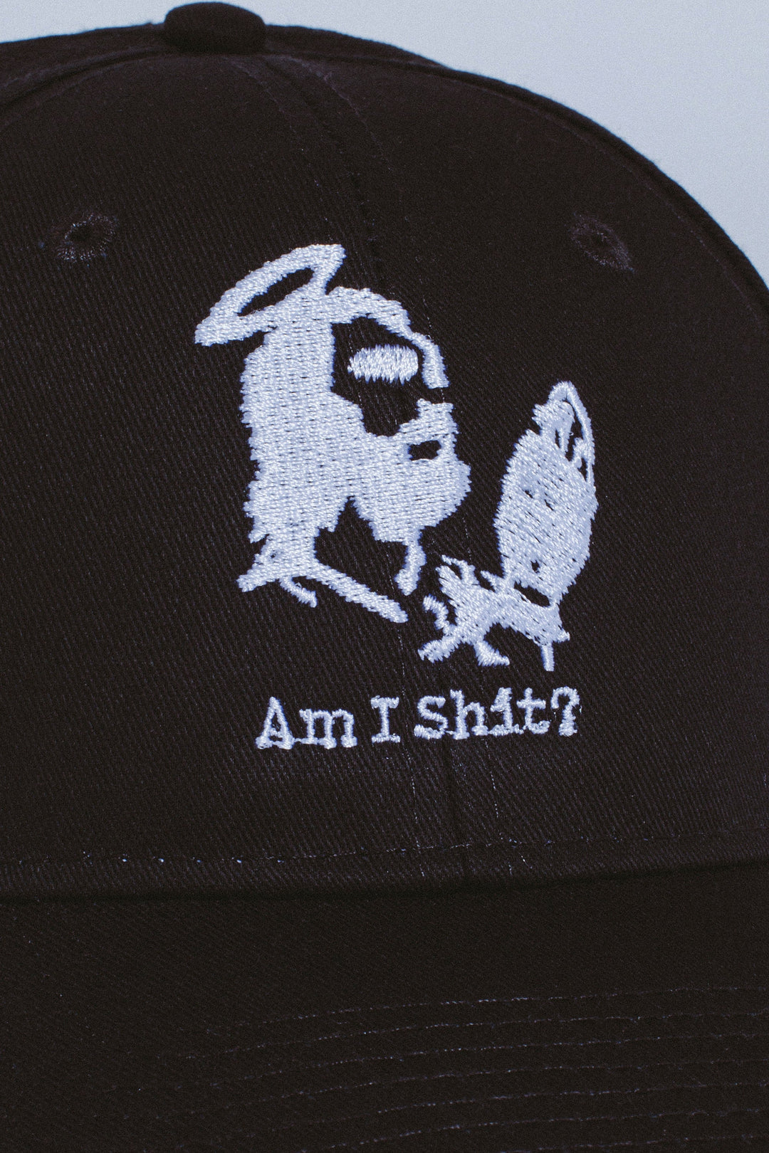 Am I Shit? 6-Panel Snapback