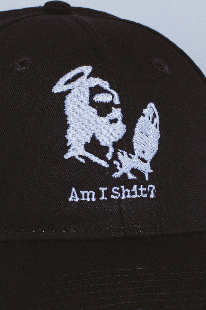 Am I Shit? 6-Panel Snapback