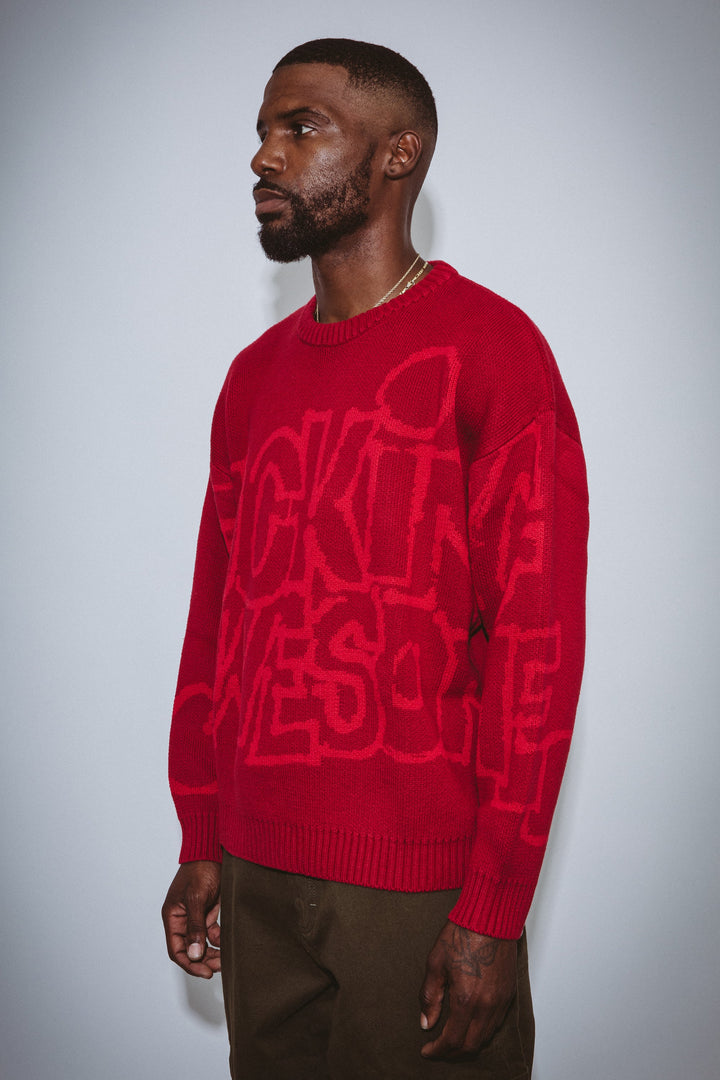 PBS Knit Sweater