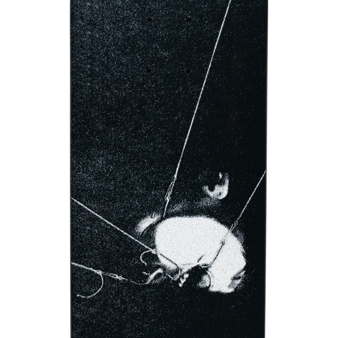 Kevin Rodrigues Pull